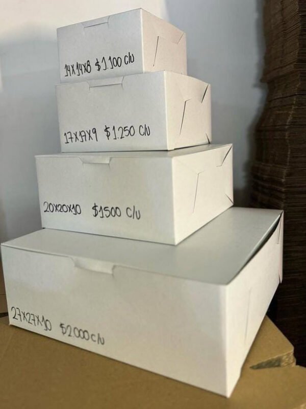 Cajas en cartón cartulina blanca